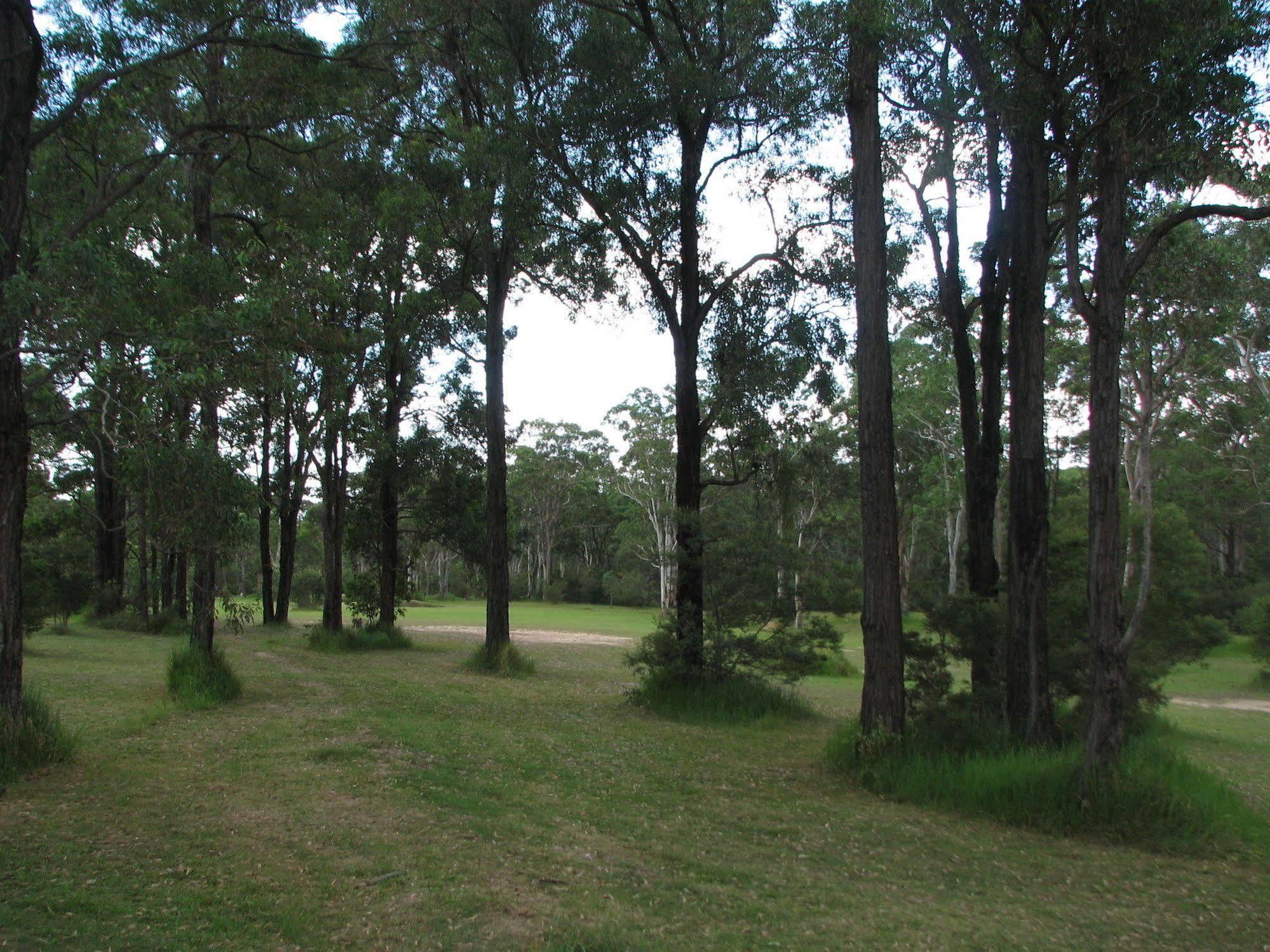 Lovedale Cottages Hunter Valley Bagian luar foto